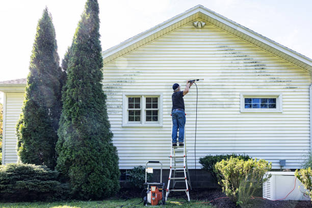 Best Driveway Pressure Washing  in Yorketown, NJ